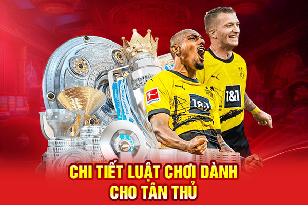 Chi tiết luật chơi dành cho tân thủ nhập môn